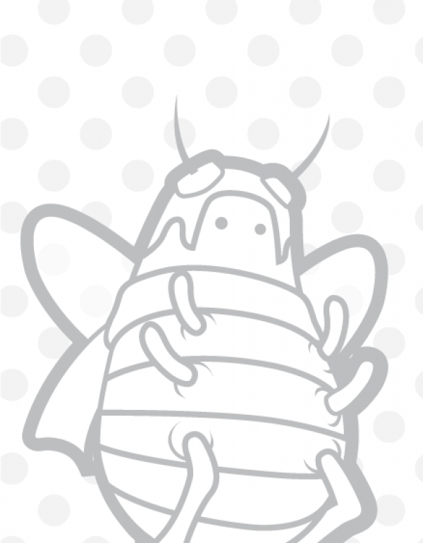 Upcoming event Tooth Tales Wacky Week – spring break